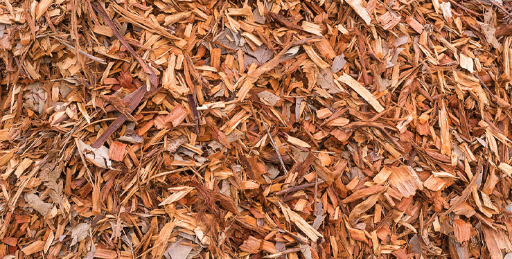 Wood chips